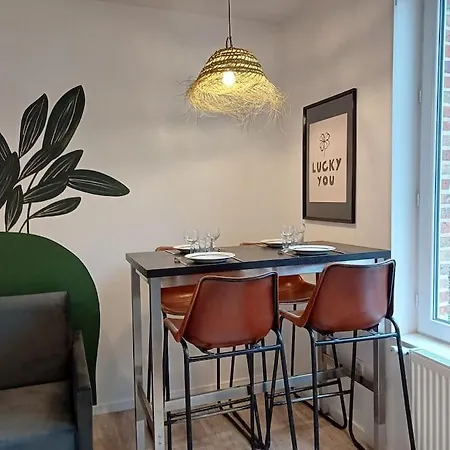Rose Vegetale - 3 Couchages - Proche Centre&cirque Apartment