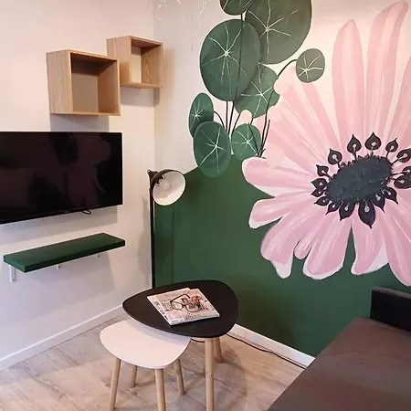 Rose Vegetale - 3 Couchages - Proche Centre&cirque Apartment *
